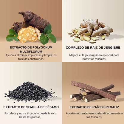 Champú Crecimiento Activo Moxxira ™