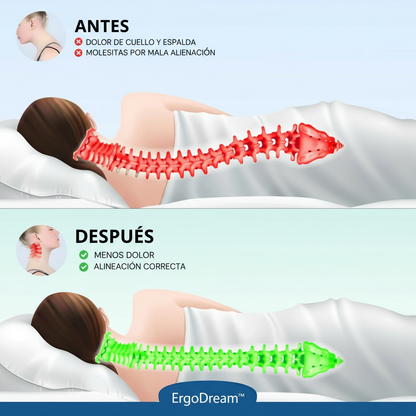Alinea tu cuello y duerme profundo desde la primera noche con ErgoDream™